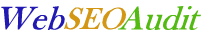 WebSeoAudit